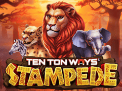 Ten Ton Ways Stampede